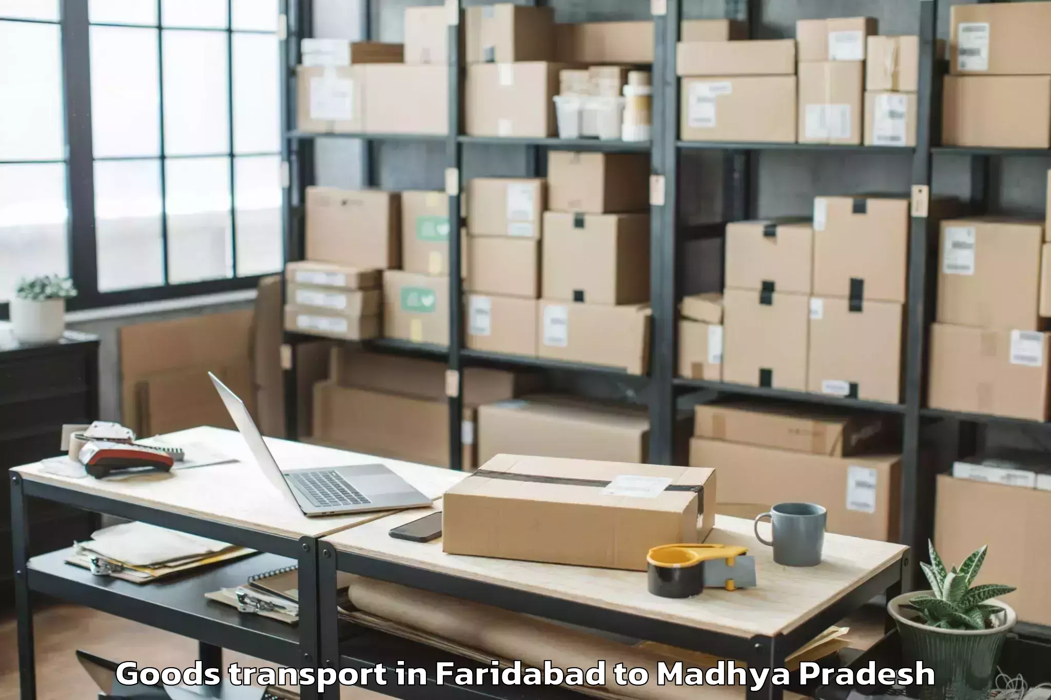 Expert Faridabad to Jaora Goods Transport